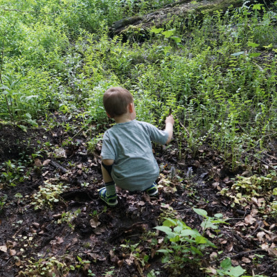 Natur erleben Natur erleben