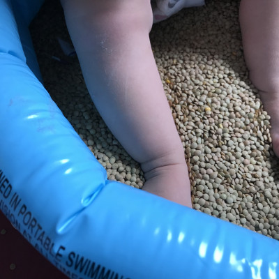 Wahrnehmen Wahrnehmen