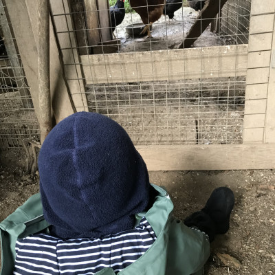 Tiere entdecken